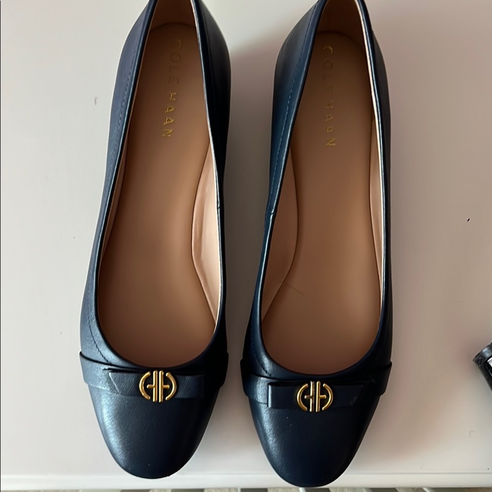 Cole Haan Women's Blue Mini Wedge Shoe New
